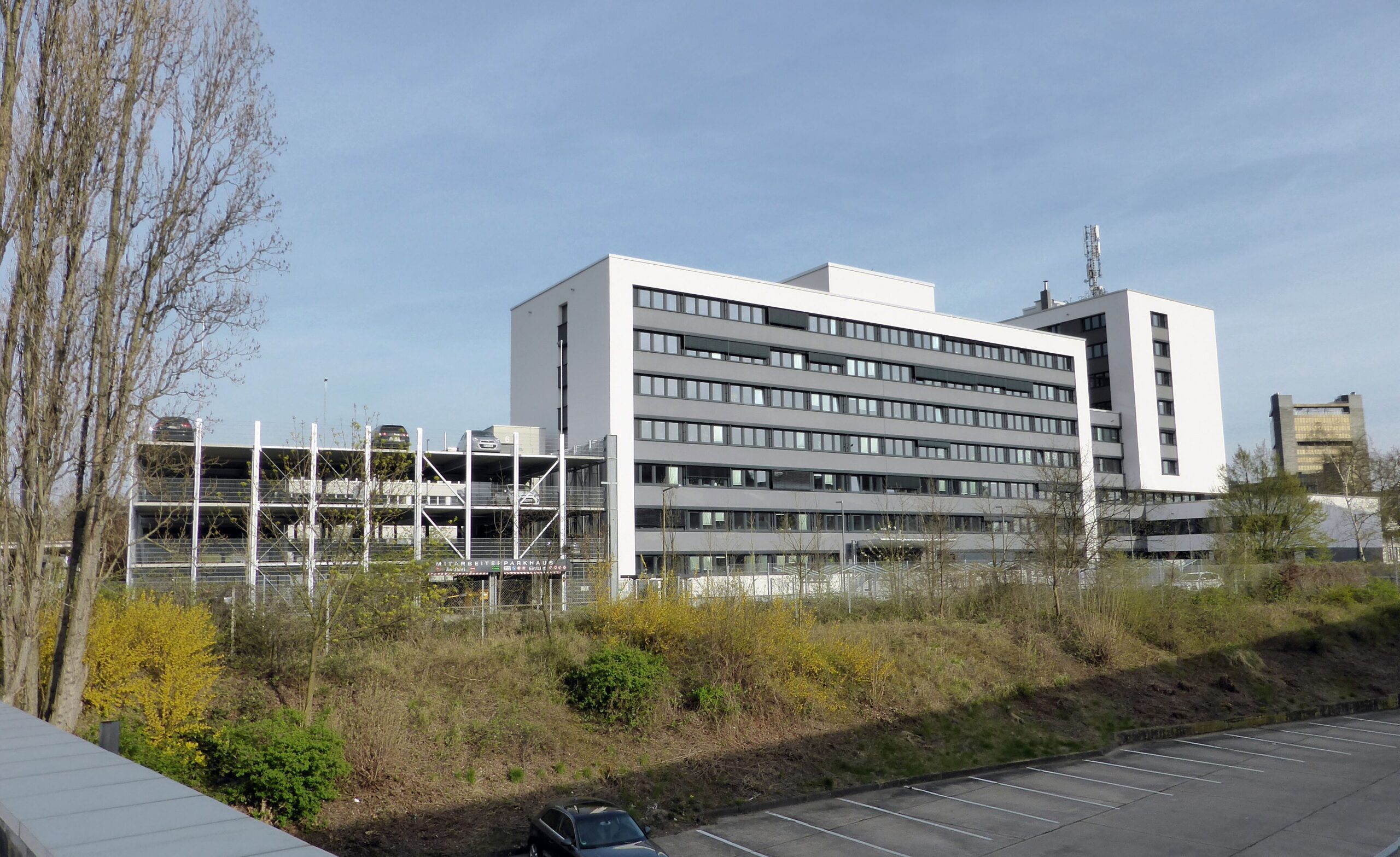 REWE
