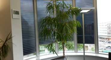 Sonnen und Blendschutzrollos
